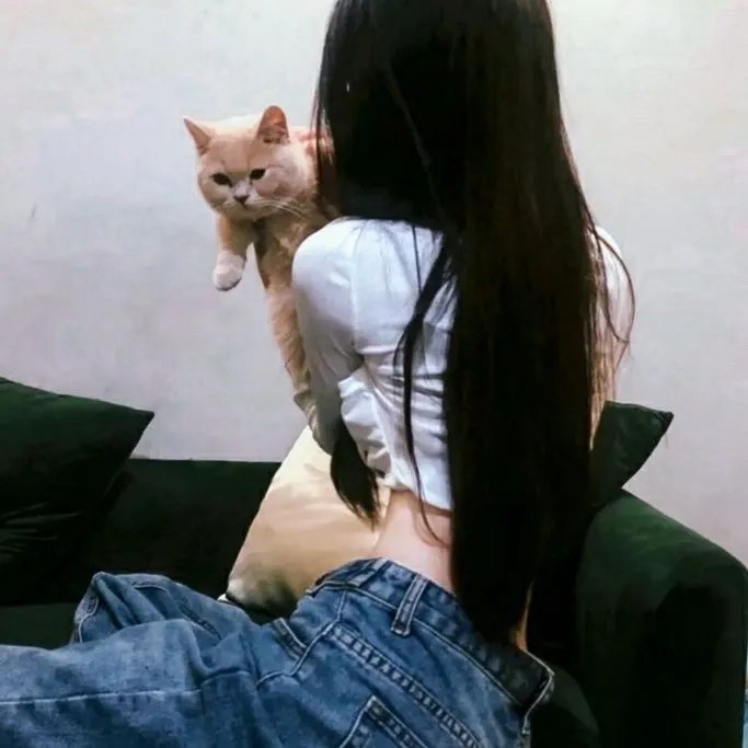 寻龙·镇魂棺